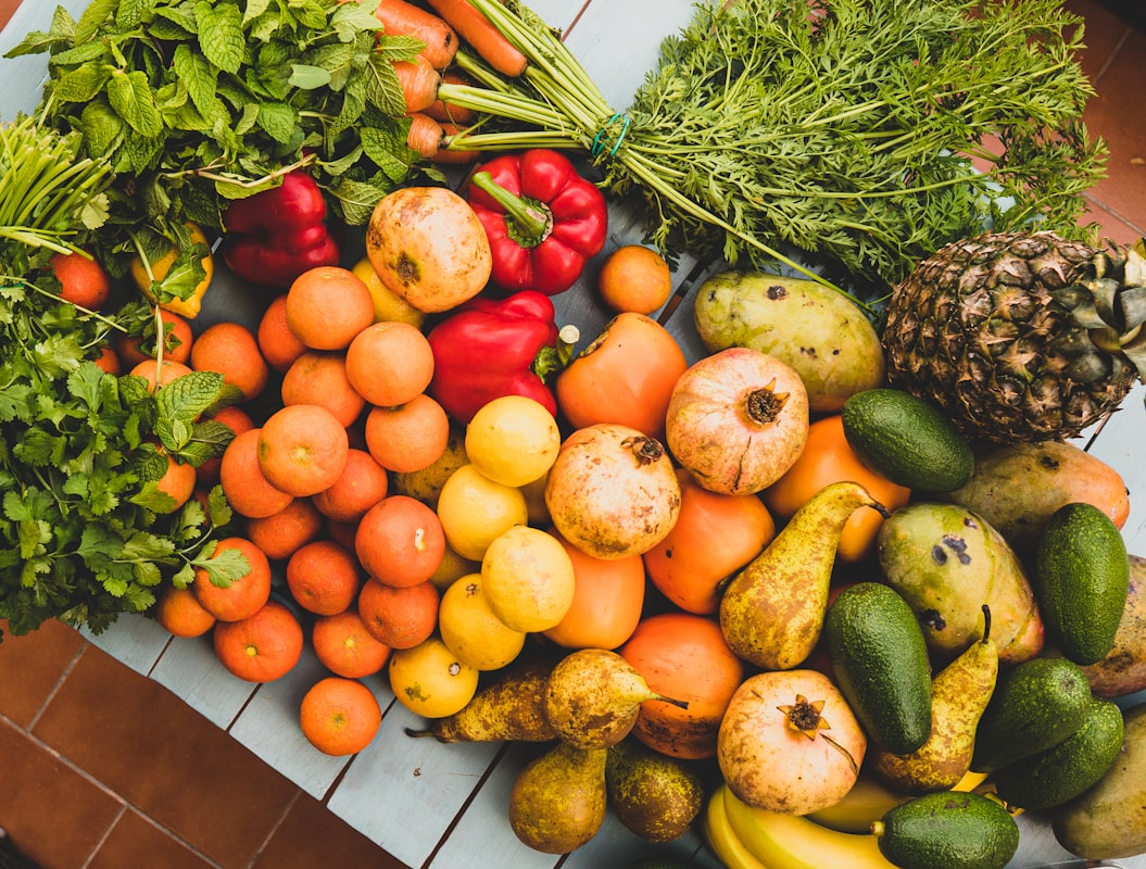 Plant-based protein sources guide